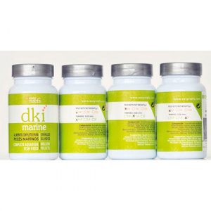 DKI Marine