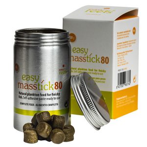 Easy Masstick 80 gr