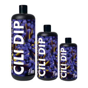 Cili DIP Fauna Marin