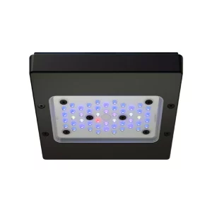 Radion XR15 G6 BLUE