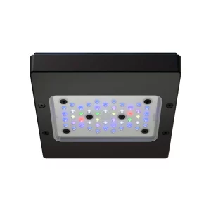 Radion XR15 G6 PRO