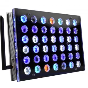 ORPHEK ATLANTIK COMPACT ICON REEF