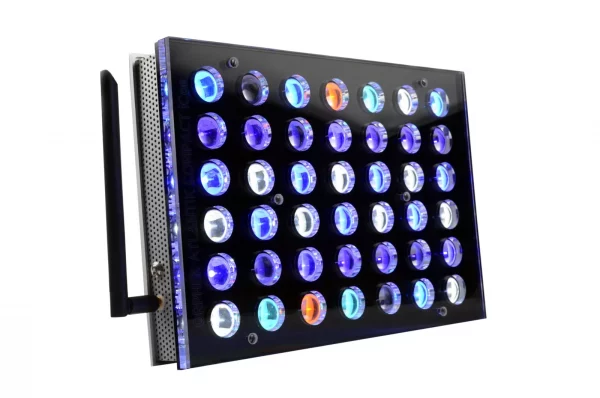 ORPHEK ATLANTIK COMPACT ICON REEF