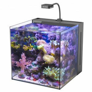 Aquamedic Yasha 60