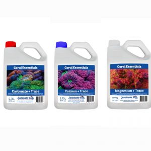 CORAL ESSENTIALS BALLING 2,75 L