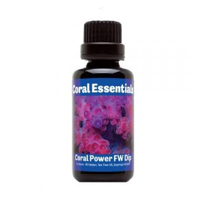 CORAL POWER FW DIP CORAL ESSENTIALS
