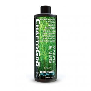Chaetogrow