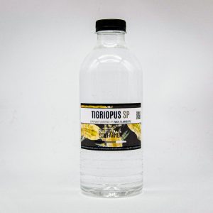 Copépodos Tigriopus sp 500 ml