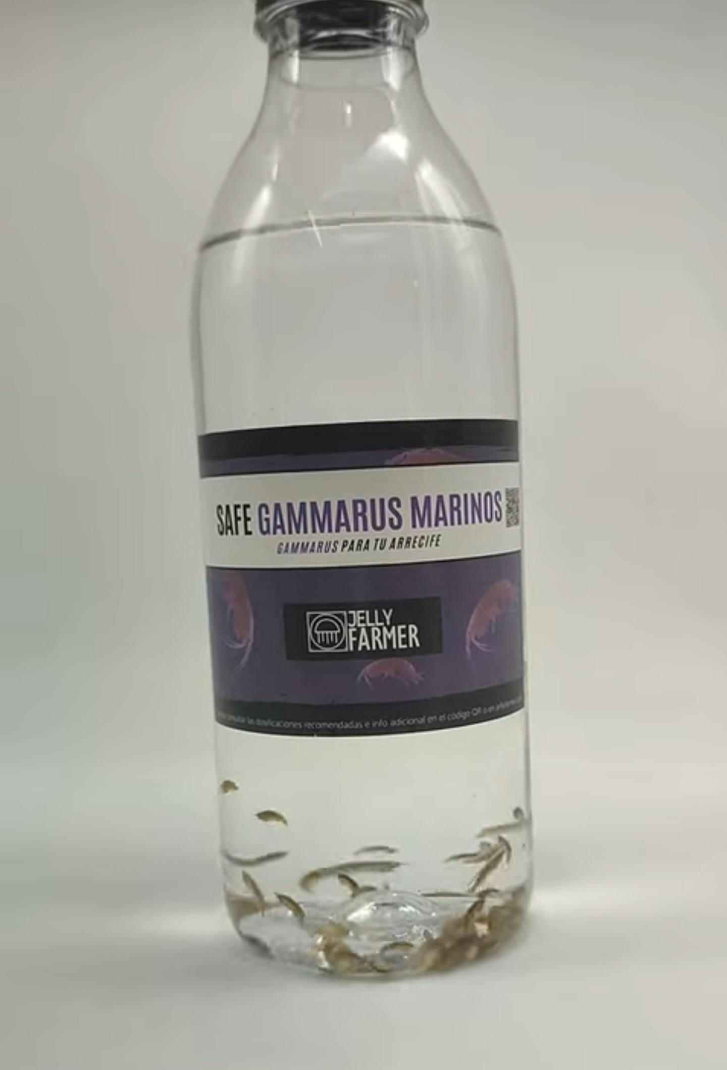 Gammarus Acuario Marino 500 ml