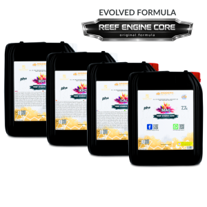 All-in-one (RKS) 4x5L Set REEF ENGINE CORE 7.7x High Concentrate