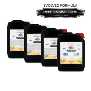 All-in-one (RKS) 4x2,5L Set REEF ENGINE CORE 7.7x  High Concentrate